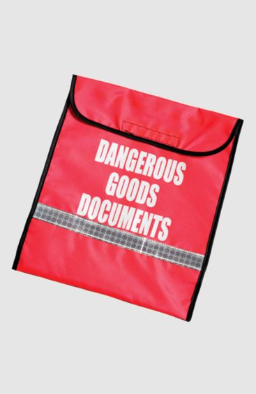 Adhesive DG Document Bag